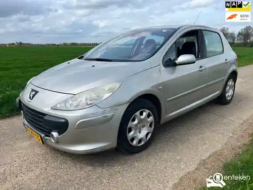 Peugeot 307 110 2005