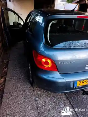 Peugeot 307 140 2006