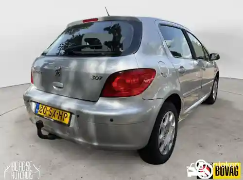 Peugeot 307 110 2006