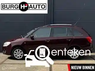 Skoda Fabia 1.9 TDI 2010