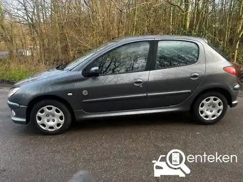 Peugeot 206 75 2009