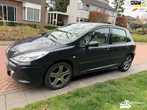 Peugeot 307 110 2007