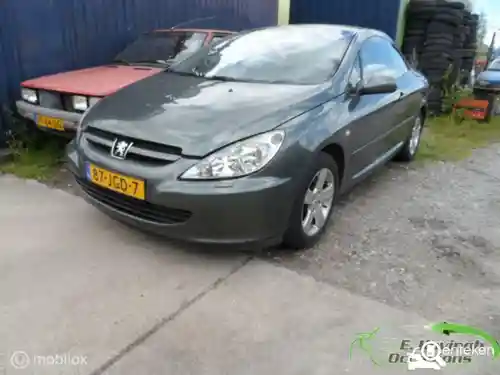 Peugeot 307 CC 135 2005