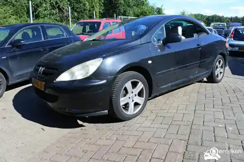 Peugeot 307 CC 110 2005