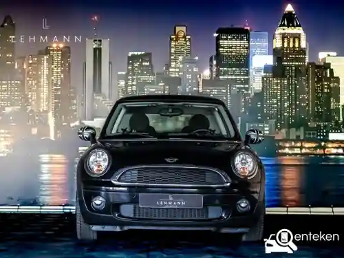 MINI  One malist 2010