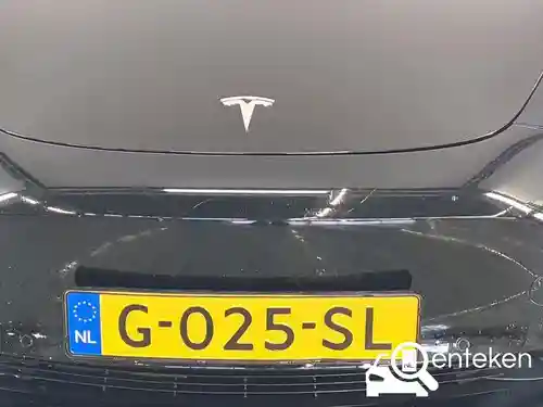 Tesla Model 3 Standard Range Plus 2019