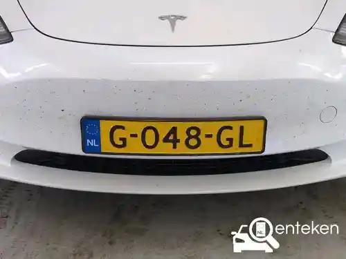 Tesla Model 3 Standard Range Plus 2019