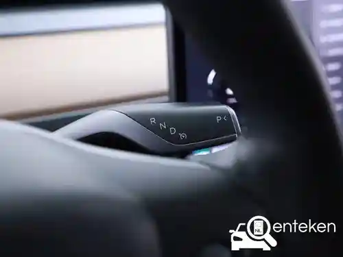 Tesla Model 3 Standard Range Plus 2019
