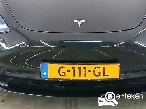 Tesla Model 3 Standard Range Plus 2019