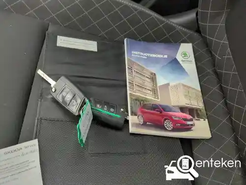 Skoda Fabia 1.0 TSI 2019