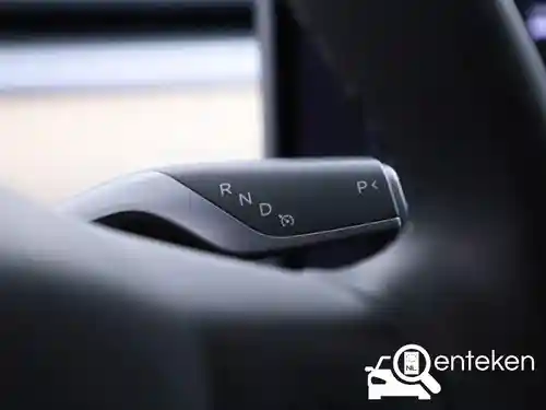 Tesla Model 3 Standard Range Plus 2019