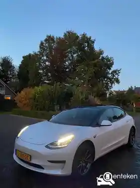 Tesla Model 3 Standard Range Plus 2019