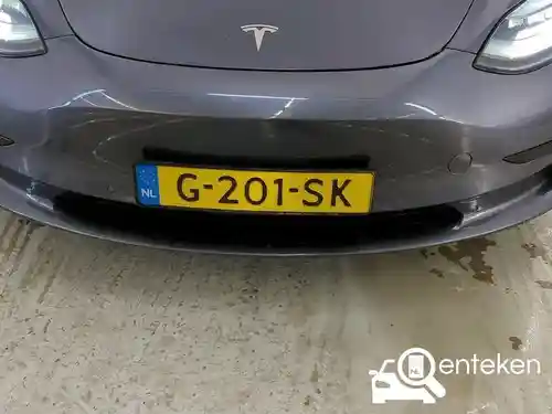 Tesla Model 3 Standard Range Plus 2019