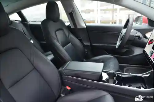 Tesla Model 3 Standard Range Plus 2019