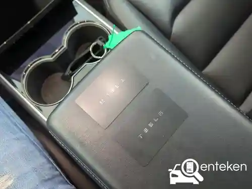 Tesla Model 3 Standard Range Plus 2019