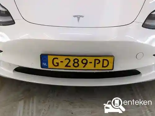 Tesla Model 3 Standard Range Plus 2019