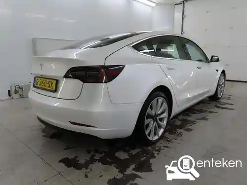 Tesla Model 3 Standard Range Plus 2019