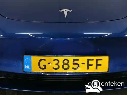 Tesla Model 3 Standard Range Plus 2019