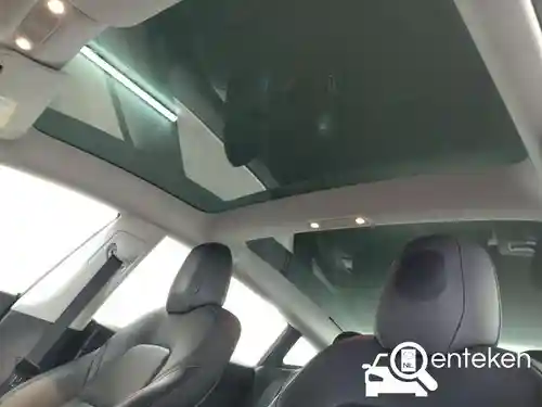 Tesla Model 3 Standard Range Plus 2019