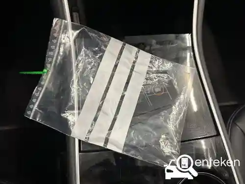 Tesla Model 3 Standard Range Plus 2019