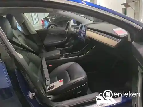 Tesla Model 3 Standard Range Plus 2019