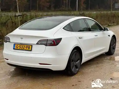 Tesla Model 3 Standard Range Plus 2019
