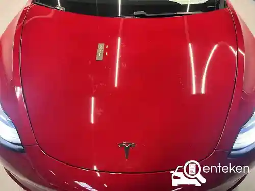 Tesla Model 3 Standard Range Plus 2019