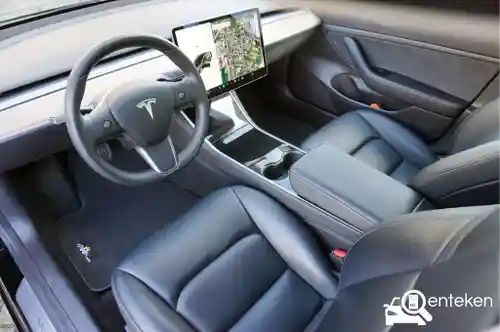 Tesla Model 3 Standard Range Plus 2019