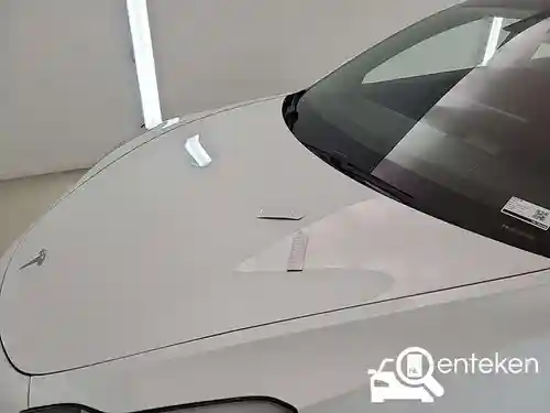 Tesla Model 3 Standard Range Plus 2019