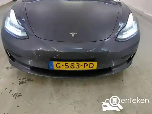 Tesla Model 3 Standard Range Plus 2019