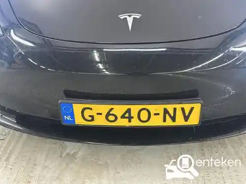 Tesla Model 3 Standard Range Plus 2019