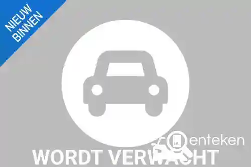 Tesla Model 3 Standard Range Plus 2019