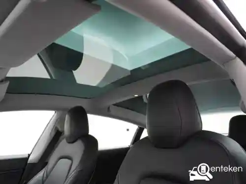 Tesla Model 3 Performance 2019