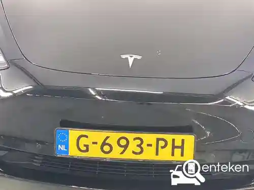 Tesla Model 3 Standard Range Plus 2019
