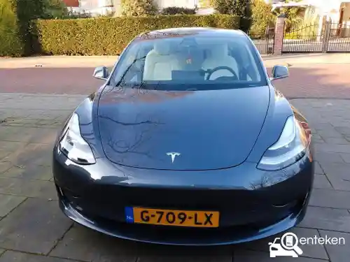 Tesla Model 3 Standard Range Plus 2019