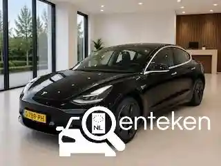 Tesla Model 3 Standard Range Plus 2019