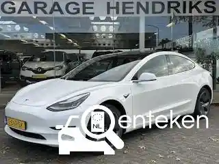 Tesla Model 3 Standard Range Plus 2019