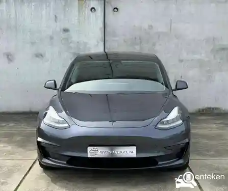 Tesla Model 3 Standard Range Plus 2019