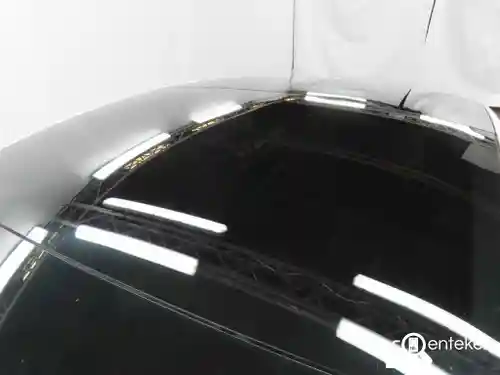 Tesla Model 3 Standard Range Plus 2019