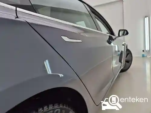 Tesla Model 3 Standard Range Plus 2019