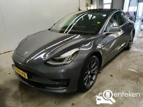 Tesla Model 3 Standard Range Plus 2019