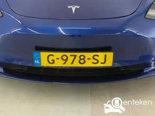 Tesla Model 3 Standard Range Plus 2019