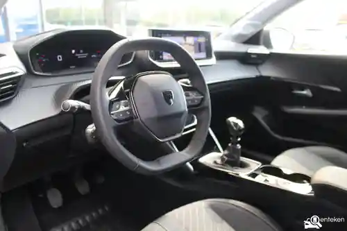 Peugeot 208 1.2 PureTech 100 2024