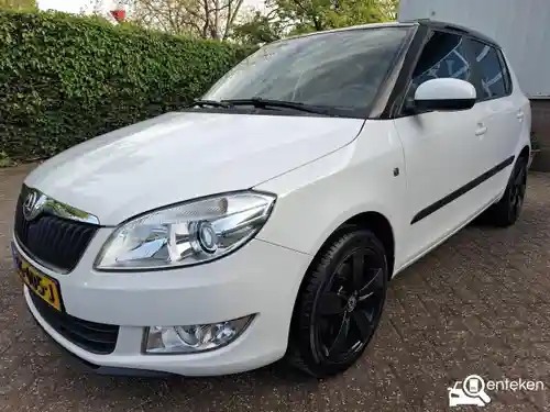 Skoda Fabia 1.2 TSI 2013