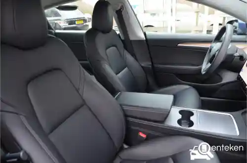 Tesla Model 3 Standard Range Plus 2021