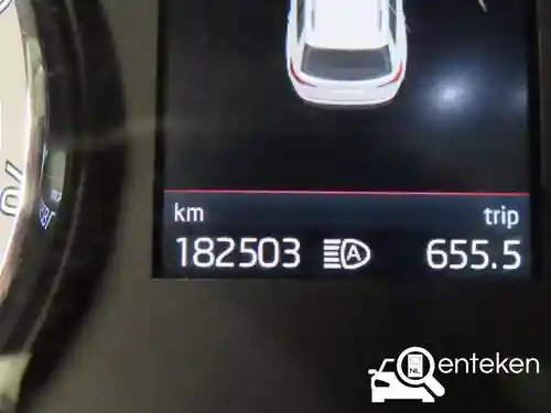 Skoda Kodiaq 1.5 TSI ACT 2020