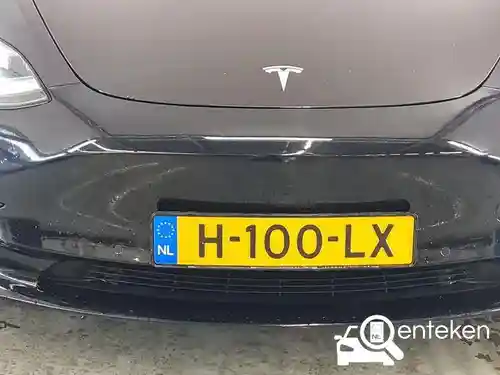 Tesla Model 3 Standard Range Plus 2020