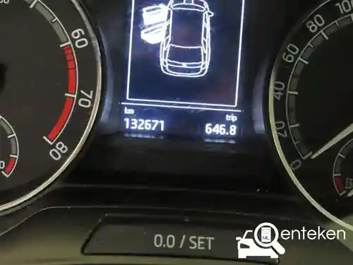 Skoda Fabia 1.0 TSI 2020