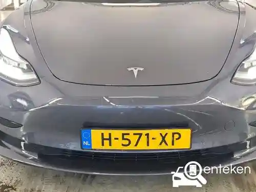 Tesla Model 3 Standard Range Plus 2020