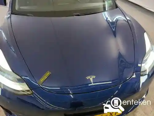 Tesla Model 3 Standard Range Plus 2020